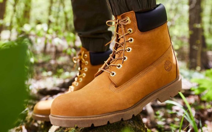 Timberland 6-inch Waterproof Boots