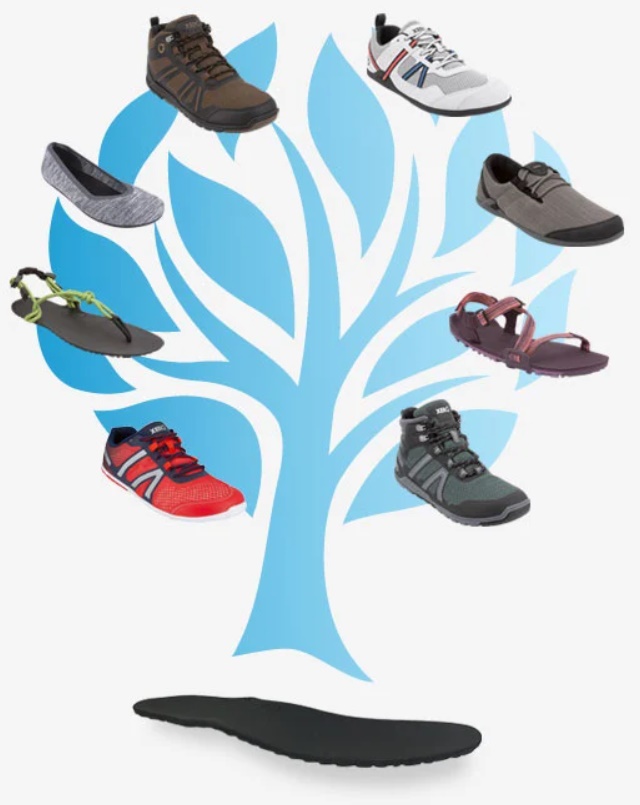 Xero Shoes Tree